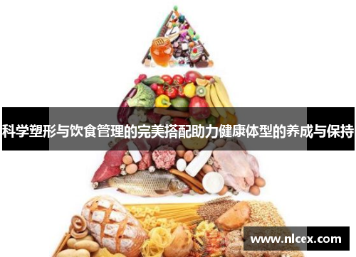 科学塑形与饮食管理的完美搭配助力健康体型的养成与保持